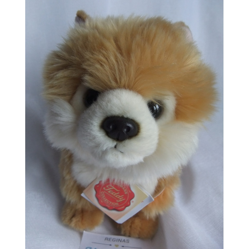 Teddy Hermann - Plüschtier - Hund Zwergspitz - braun, weiß - ca. 20 cm hoch und ca. 22 cm lang - stehend