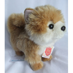 Teddy Hermann - Plüschtier - Hund Zwergspitz - braun, weiß - ca. 20 cm hoch und ca. 22 cm lang - stehend