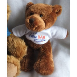 Zwei Plüschtiere - Minifeet Plüschtier Bär mit Pullover (Volksbank) und Fairytalebears Plüschtier Bär mit Halstuch