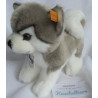 Steiff - Plüschtier - Husky Bernie - 104985 - weiß, grau - ca. 17 cm lang und 15 cm hoch