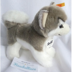 Steiff - Plüschtier - Husky Bernie - 104985 - weiß, grau - ca. 17 cm lang und 15 cm hoch