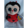 Ty - Plüschtier - Marienkäfer Bugsy - schwarz, rot - ca. 15 cm groß