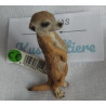 Schleich - Erdmännchen - 14368 - ca. 5,5 cm groß