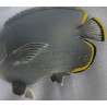 Schleich - Fisch Perlen-Falterfisch - ca. 8 cm lang und ca. 6 cm hoch