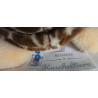 Nici - Plüschtier - Schildkröte Esmeralda - braun, beige - ca. 30 cm groß - liegend