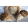 Nici - Plüschtier - Hase Ralf the Rabbit - Brauntöne - mit biegsamen Ohren- ca. 50 cm groß - Schlenker