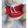 Mathias Pamer GmbH - Plüschtier - Tröster-Teddy - Bär mit Pullover - ca. 20 cm groß - sitzend