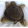 Wild Republic - Plüschtier - Schildkröte - Brauntöne - ca. 30 cm lang